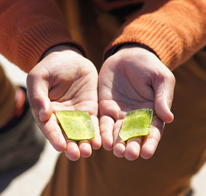woman holding aloe vera in her hands