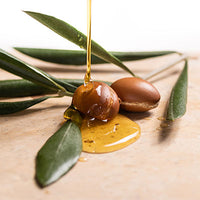 terrafique ingredients argan oil