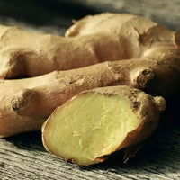 terrafique ingredients ginger